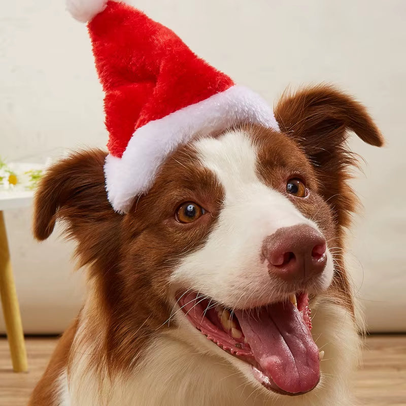 Adjustable 3D Christmas Pet Santa Hat for Dogs Cats Christmas Costume Pet Accessories Halloween Holiday Christmas Party Cap